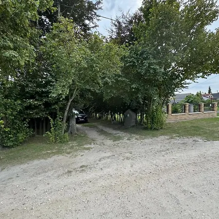 Szilvia *